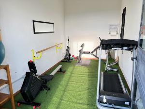 阿西西福那斯农场乡村民宿的一间带跑步机和电视的健身房