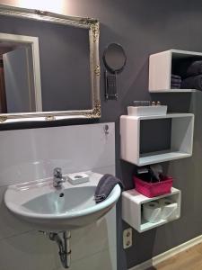 伯格奥夫费马恩迪埃施米德公寓的一间带水槽和镜子的浴室以及一台电视