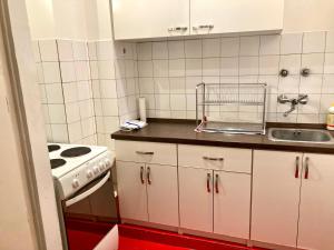 布达佩斯Lovely cosy art flat的一间带水槽和炉灶的小厨房