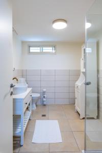 兹奇隆亚科夫Cosy & Calm Central Getaway Modern Guest Suite by Midrachov 1 Queen Bed的浴室配有卫生间、盥洗盆和淋浴。