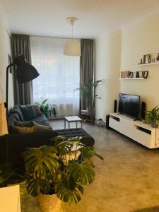 布拉斯哈特Ruime woning nabij Antwerpen en haven的带沙发和电视的客厅