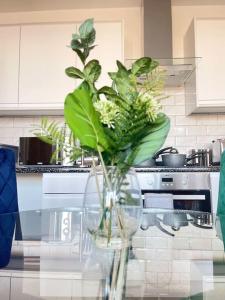 弗特威克Flitwick Luxury Apartment的花瓶里满是植物,坐在厨房的桌子上