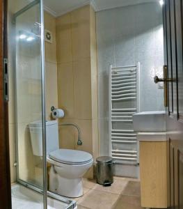 米蒂利尼TARLAS ROOMS的浴室配有卫生间、淋浴和盥洗盆。