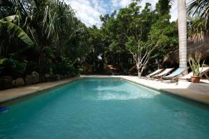 巴卡拉尔Totem Buenavista的一个带躺椅的游泳池,棕榈树