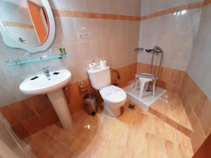 卢特拉艾季普苏Mitho Hotel Spa的一间带卫生间、水槽和镜子的浴室