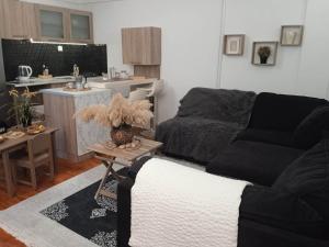 AglantziaAdorable Cozy Apartment的带沙发的客厅和厨房