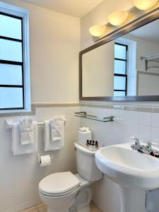 迈阿密海滩阿瓦隆酒店的一间带卫生间、水槽和镜子的浴室