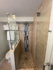 圣徒皮特海滩Cozy Beach Rental 1B/1B的带淋浴和卫生间的小浴室
