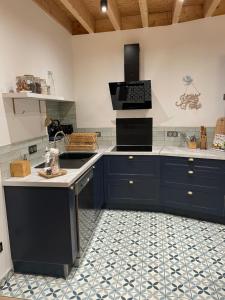 科隆贝莱斯-德埃格利塞Gîte l'Eden à l'Est的厨房配有蓝色橱柜和炉灶烤箱。