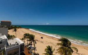 圣胡安The Tryst Beachfront Hotel的享有棕榈树海滩和大海的景色