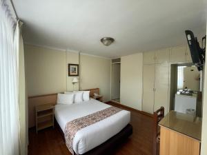 塔克纳普利米尔酒店的酒店客房设有白色的床和电视。