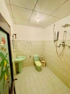 达瓦拉维Sheran Safari House的浴室配有绿色卫生间和水槽。