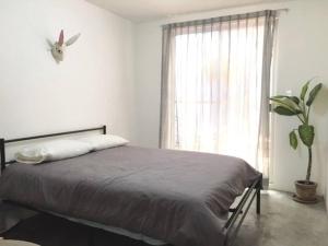 墨西哥城Lovely apartment with terrace , Historic Center.的一间卧室配有一张床和一个植物窗户