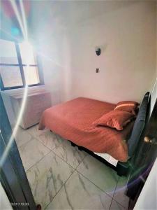 阿里卡La mejor ubicación de Arica的一间卧室配有一张带红色毯子的床