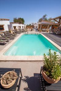 圣佩德罗·德·阿塔卡马拉科切拉酒店 的度假村内带椅子和植物的游泳池