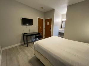 旧金山马里纳酒店的一间卧室配有一张床和一张书桌及电视