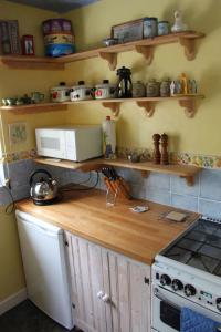 谢普顿马利特Enniskerry - The Loves Cottage的厨房配有带微波炉和炉灶的台面
