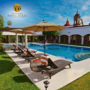 库埃纳瓦卡Ex Hacienda Santa Cecilia的游泳池旁的一排椅子和遮阳伞