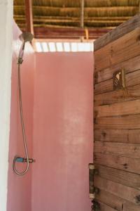 戈公Young Wild and Free的带淋浴的浴室,配有粉红色的墙壁