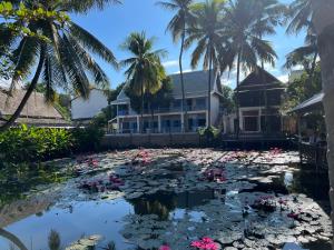 琅勃拉邦绿洲别墅酒店的池塘,满是粉红色的花朵和棕榈树