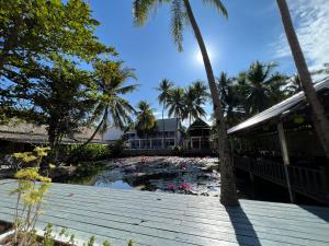 琅勃拉邦绿洲别墅酒店的享有棕榈树池塘和房屋的景致