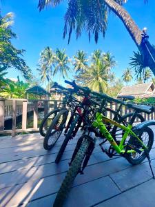 琅勃拉邦绿洲别墅酒店的一群自行车停在棕榈树甲板上