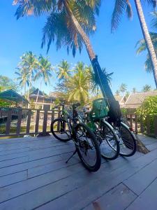 琅勃拉邦绿洲别墅酒店的两辆自行车停放在棕榈树木甲板上