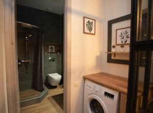 第比利斯LUXURY APARTMENT IN OLD TBILISI WITH TERRACe的带淋浴和洗衣机的浴室