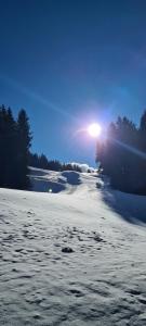 施伦斯蒙特约拉诺娃酒店的一片雪覆盖的田野,背着太阳