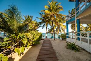 珀拉什奇亚Condo #26 @ Beachside Villas的通往棕榈树海滩的路径和度假屋