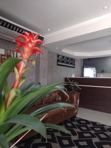 巴乌鲁阿斯多尔酒店的带沙发和红花的客厅