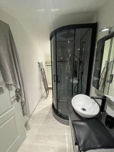 马赛Chalet de jardin的一间带水槽和镜子的浴室