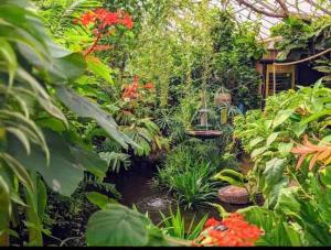 谢菲尔德Stunning 3 bedroom near NG Hospital的一个带池塘和植物的花园