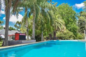 富内斯Parador 15的一个种有棕榈树的大型蓝色游泳池