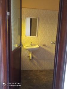 波特尔堡Palm Star Motel的浴室配有盥洗盆和带镜子的淋浴