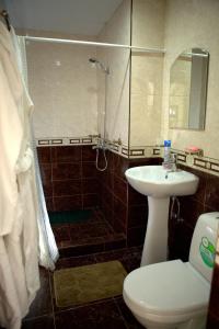阿德勒雅典娜酒店的带淋浴、卫生间和盥洗盆的浴室