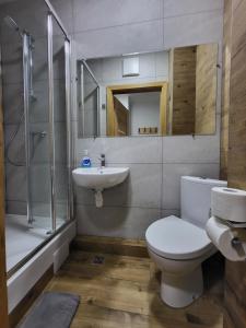 弗罗茨瓦夫FOKA Hostel的浴室配有卫生间、盥洗盆和淋浴。