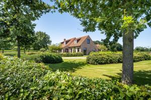 达默Hoeve den Akker - luxueuze vakantiewoningen met privétuinen nabij Brugge, Damme, Knokke, Sluis en Cadzand的草坪上树丛的房子