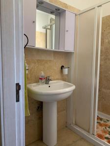 新福卡Villa Delfino的一间带水槽和镜子的浴室