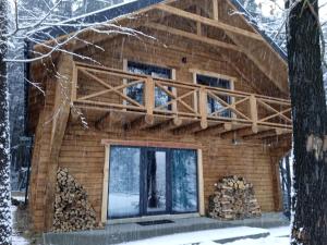 Staraya SolʼSaltzbork的雪中树林里的小木屋