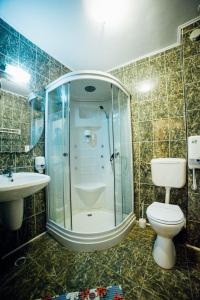 CiurilaPension Domeniul Regilor的带淋浴、卫生间和盥洗盆的浴室