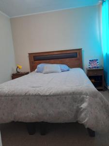 阿里卡Departamento Amoblado en Arica的一间卧室配有一张大床和木制床头板