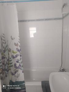 阿罗纳Torres Los Cristianos的带淋浴帘和卫生间的浴室