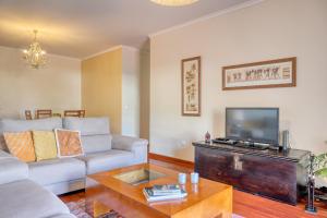 蓬他达维托亚Lidia's Place, a Home in Madeira的带沙发和电视的客厅