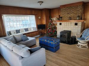 里穆斯基Maison du bord du fleuve à 5 min du centre ville的客厅配有圣诞树和沙发