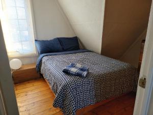 里穆斯基Maison du bord du fleuve à 5 min du centre ville的一间小卧室,配有一张带铺着地毯的床