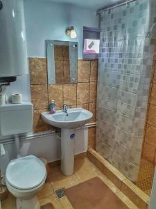 BreazovaCasa Rozalia的浴室配有卫生间、盥洗盆和淋浴。