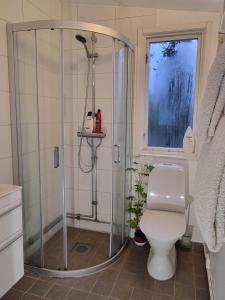 TyresöArchipelago villa, cabin & sauna jacuzzi with sea view, 30 minutes from Stockholm的带淋浴和卫生间的浴室