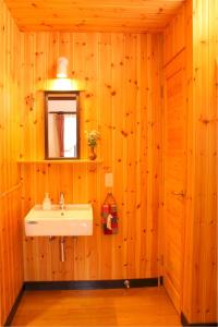 苹果树山林小屋的一间浴室