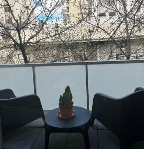 布宜诺斯艾利斯Sucre Suites的坐在窗前桌子上的植物